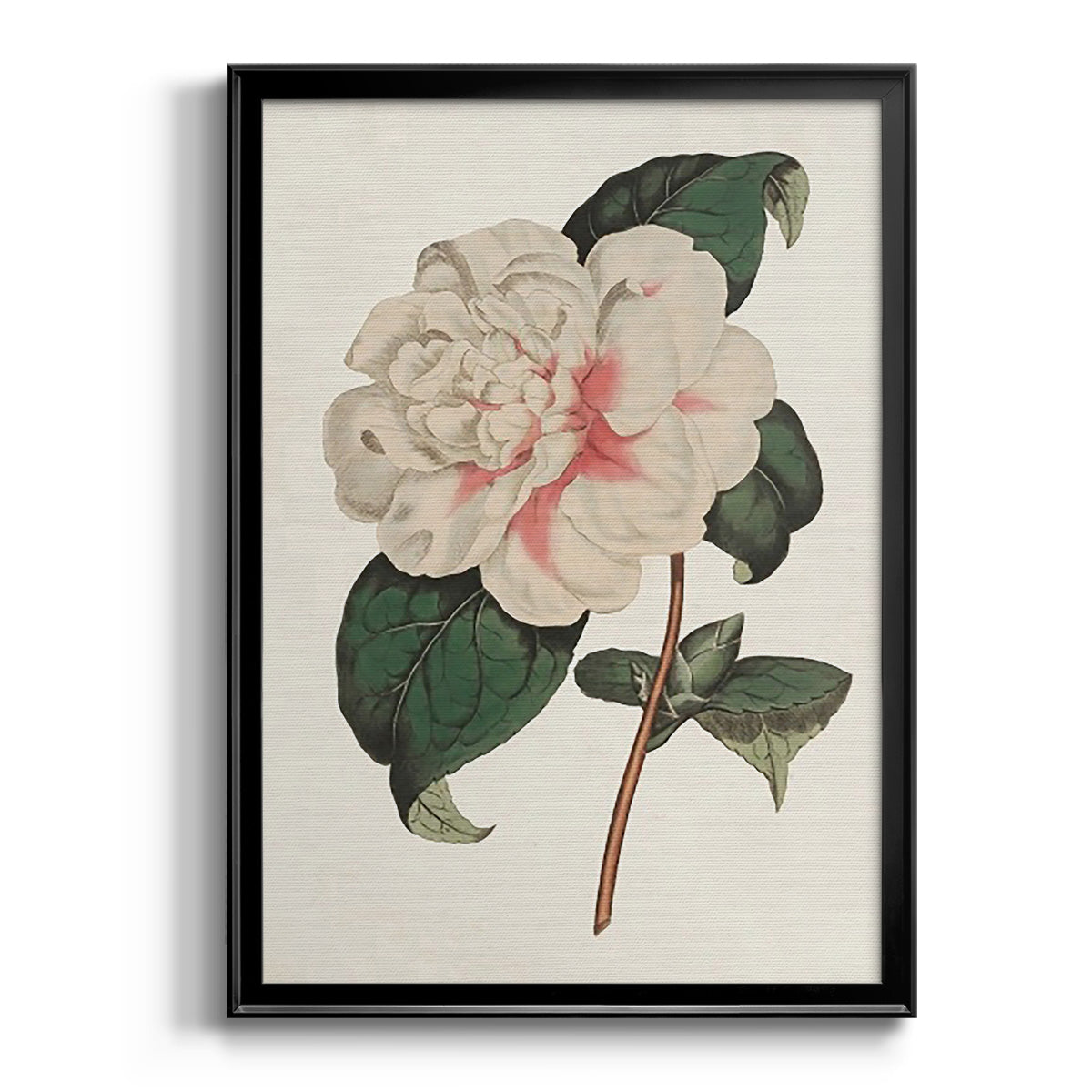 Pink Floral Mix VIII Premium Framed Print - Ready to Hang