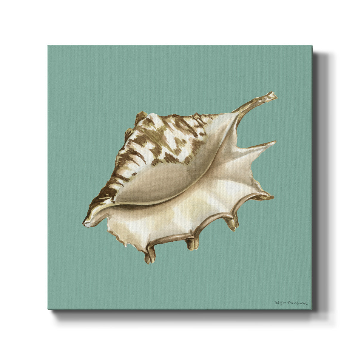Shell on Aqua IV - Canvas Art Print