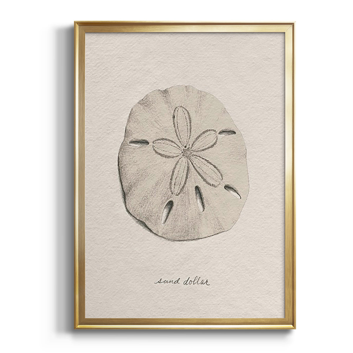 Soft Half Shell I - Modern Framed Canvas Print