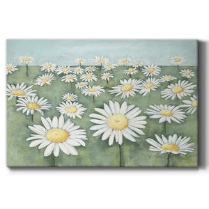 Field of Flowers Premium Gallery Wrapped Canvas - Ready to Hang