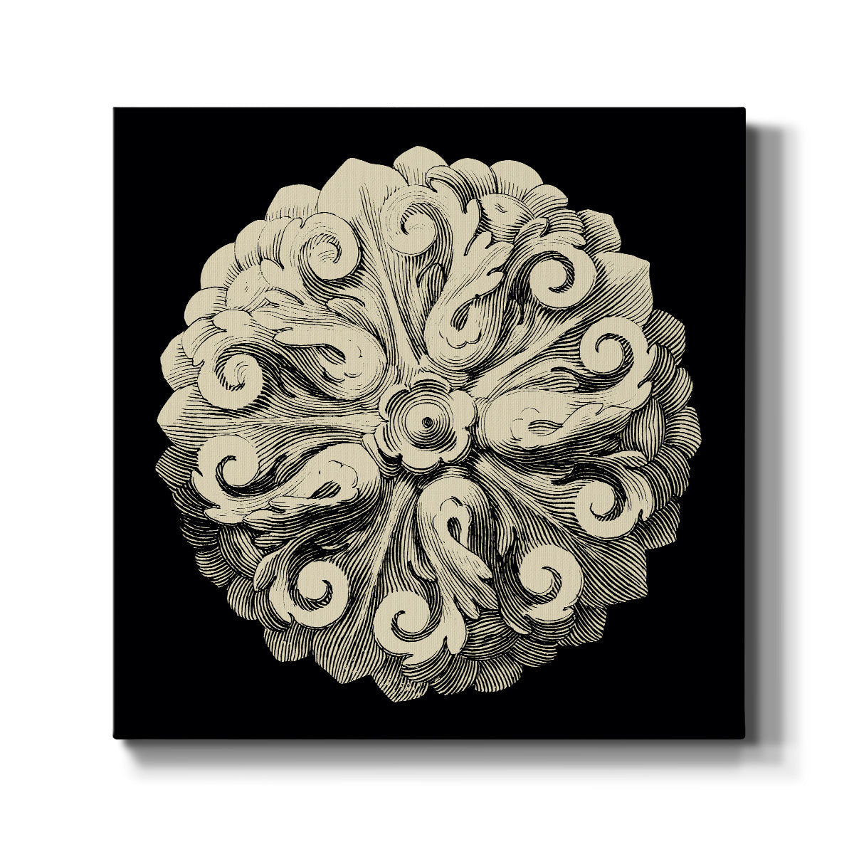 Black and Tan Rosette II - Canvas Art Print