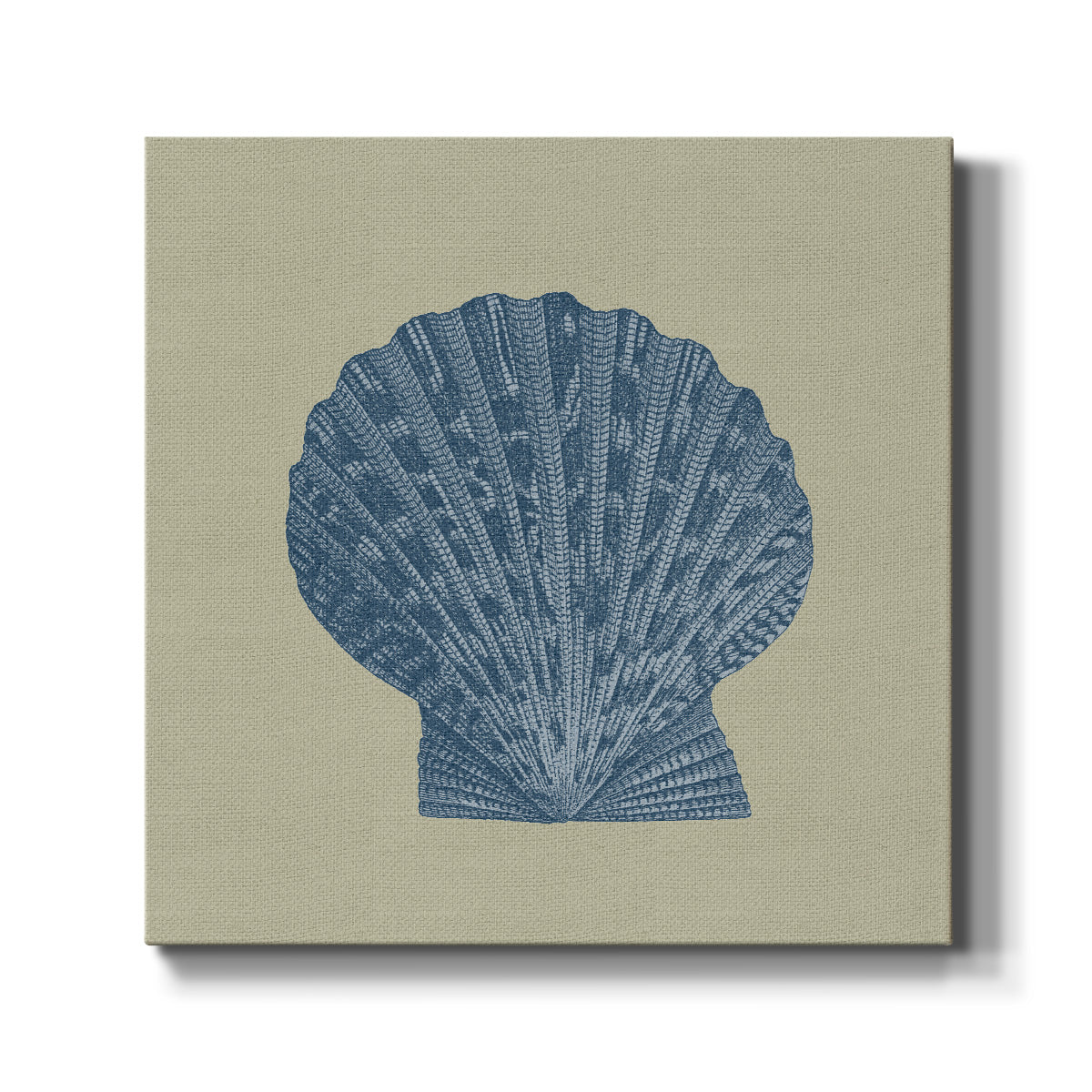 Chambray Shells IV - Canvas Art Print