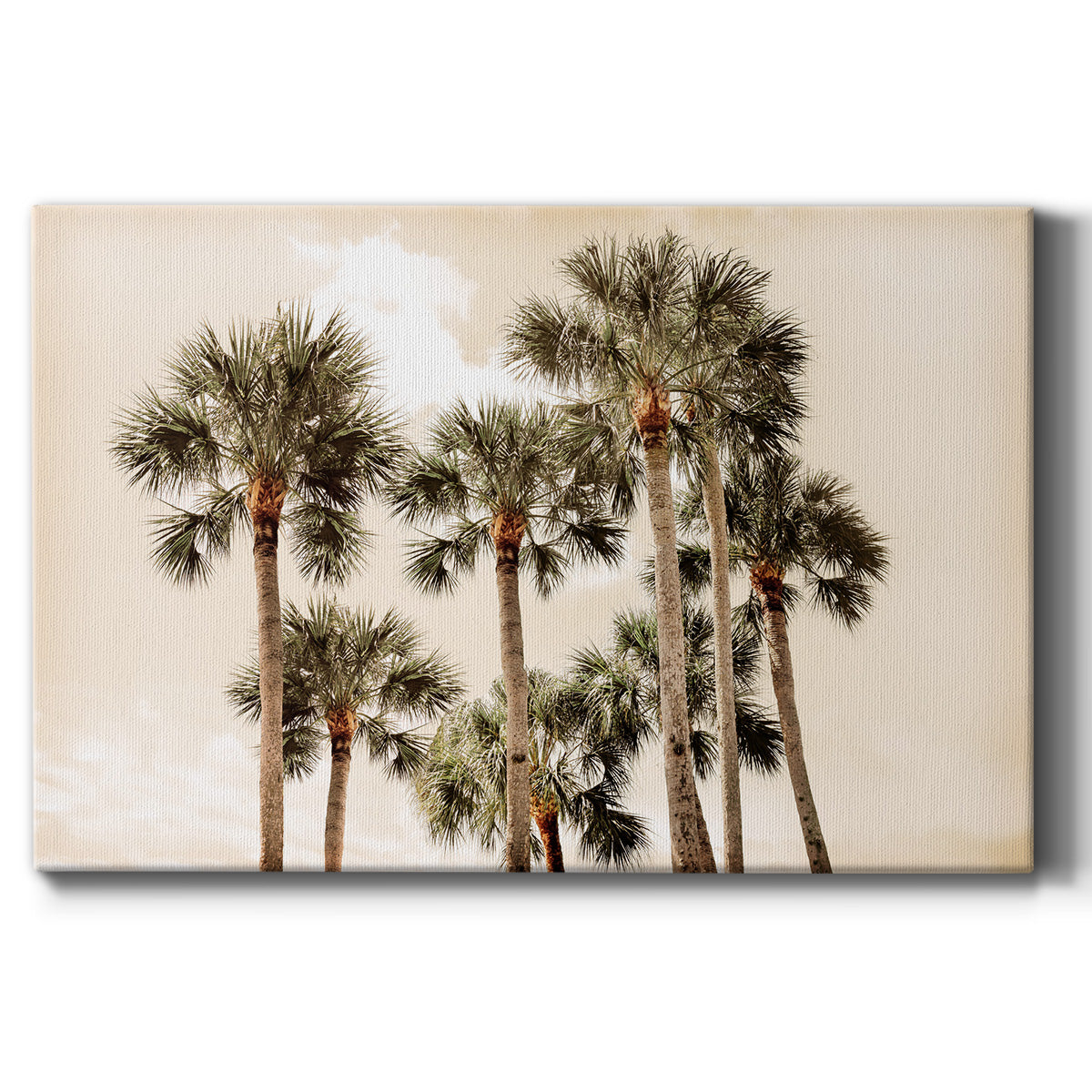 Blushing Palms Premium Gallery Wrapped Canvas - Ready to Hang