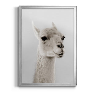 Soft Llama Premium Framed Print - Ready to Hang