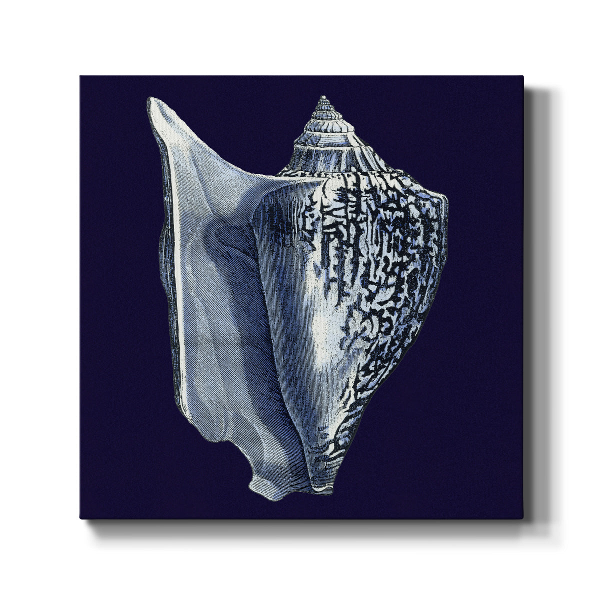 Indigo Shells I - Canvas Art Print