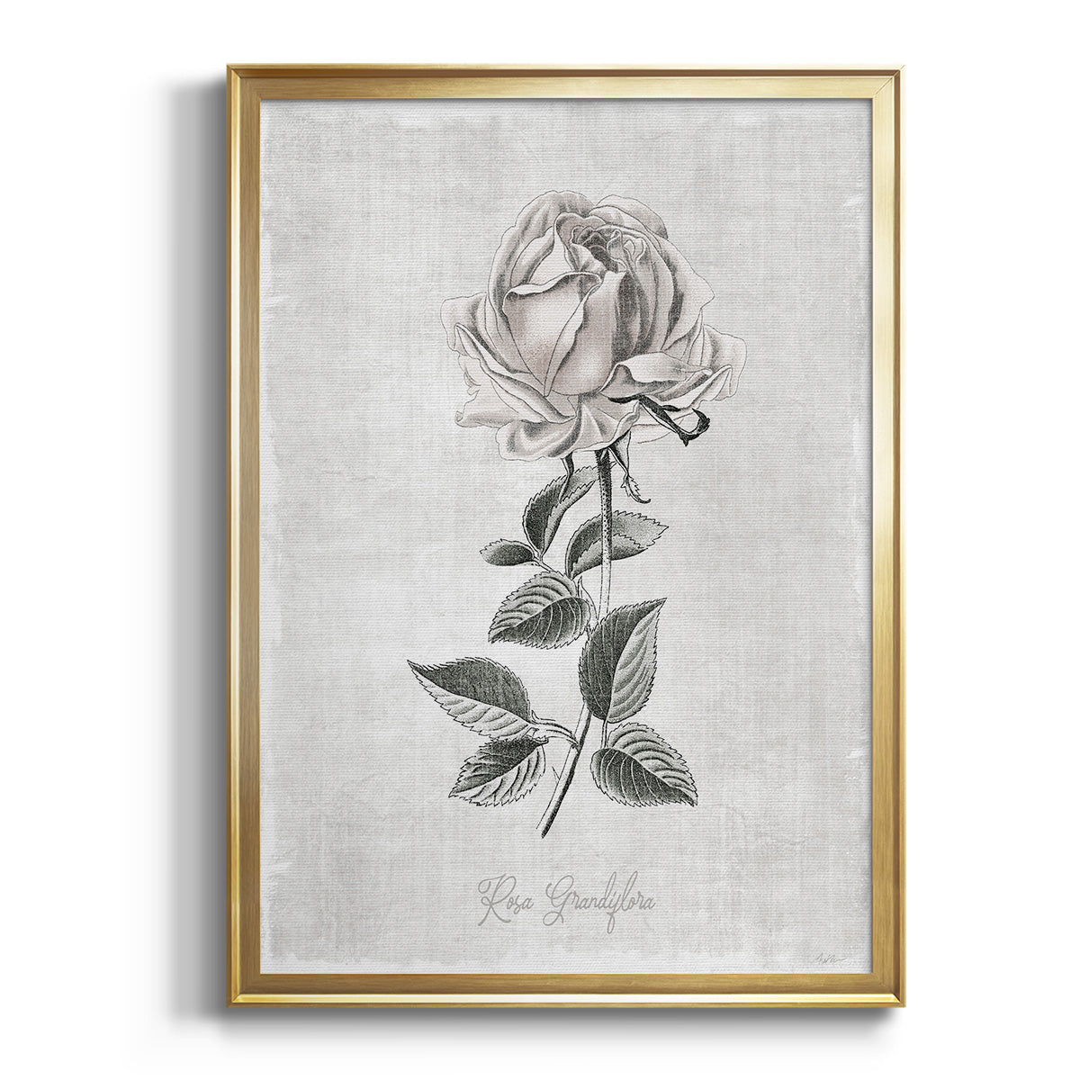 Sepia Botanical Journal I - Modern Framed Canvas Print