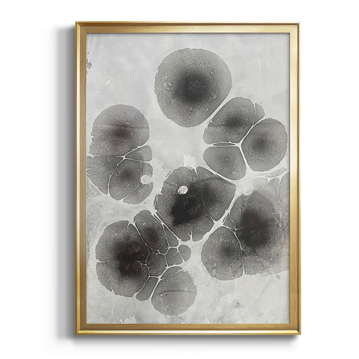Sepia Botanical Journal I - Modern Framed Canvas Print