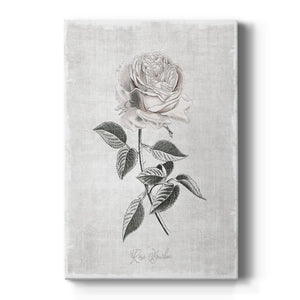 Vintage Botanical I Premium Gallery Wrapped Canvas - Ready to Hang
