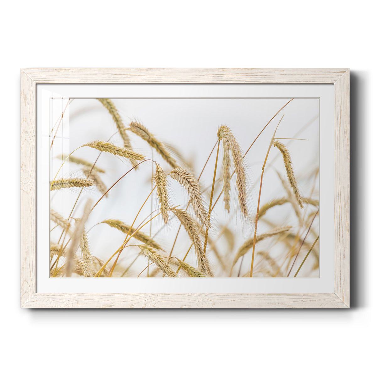 Celebrate-Premium Framed Print - Ready to Hang