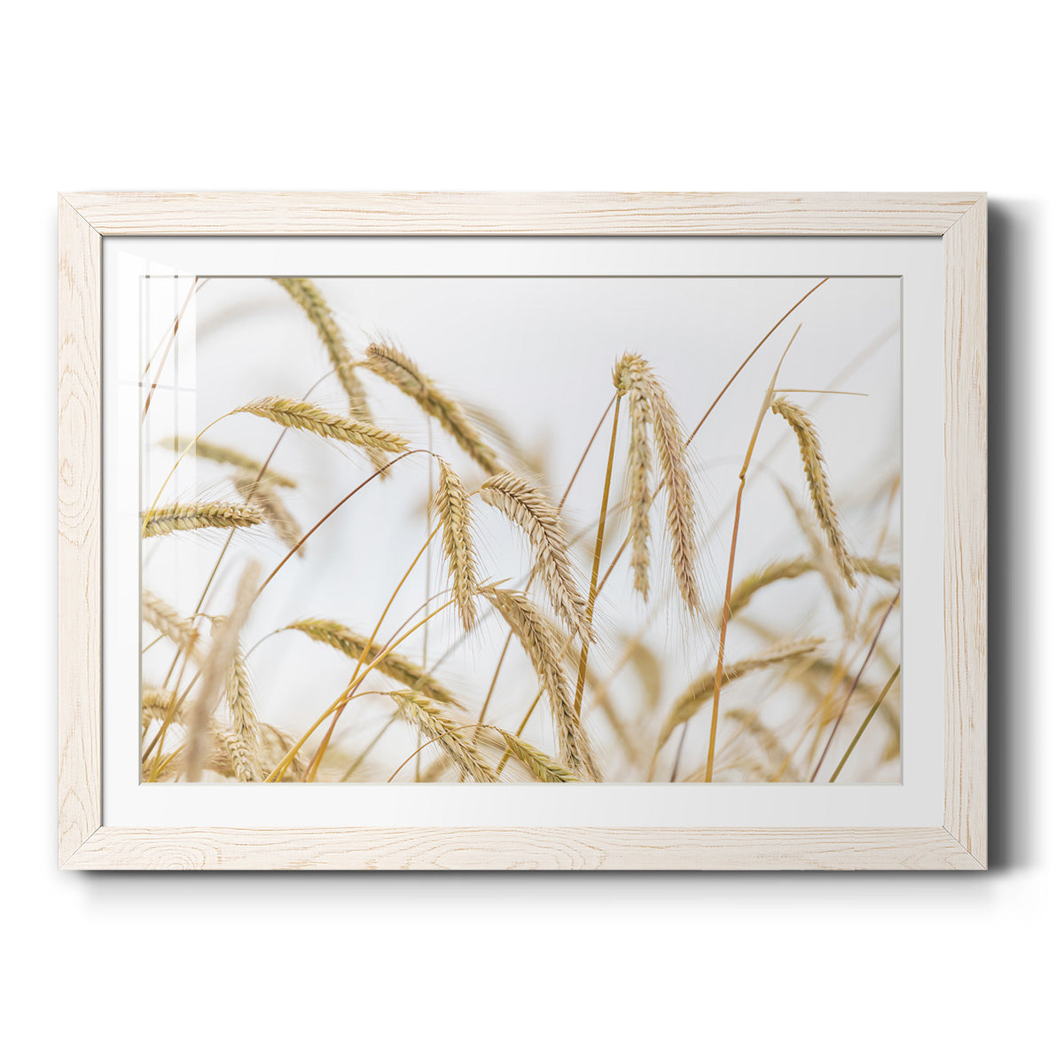 Wheat-Premium Framed Print - Ready to Hang