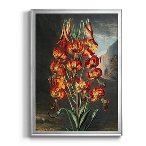 Temple of Flora III Premium Framed Print - Ready to Hang