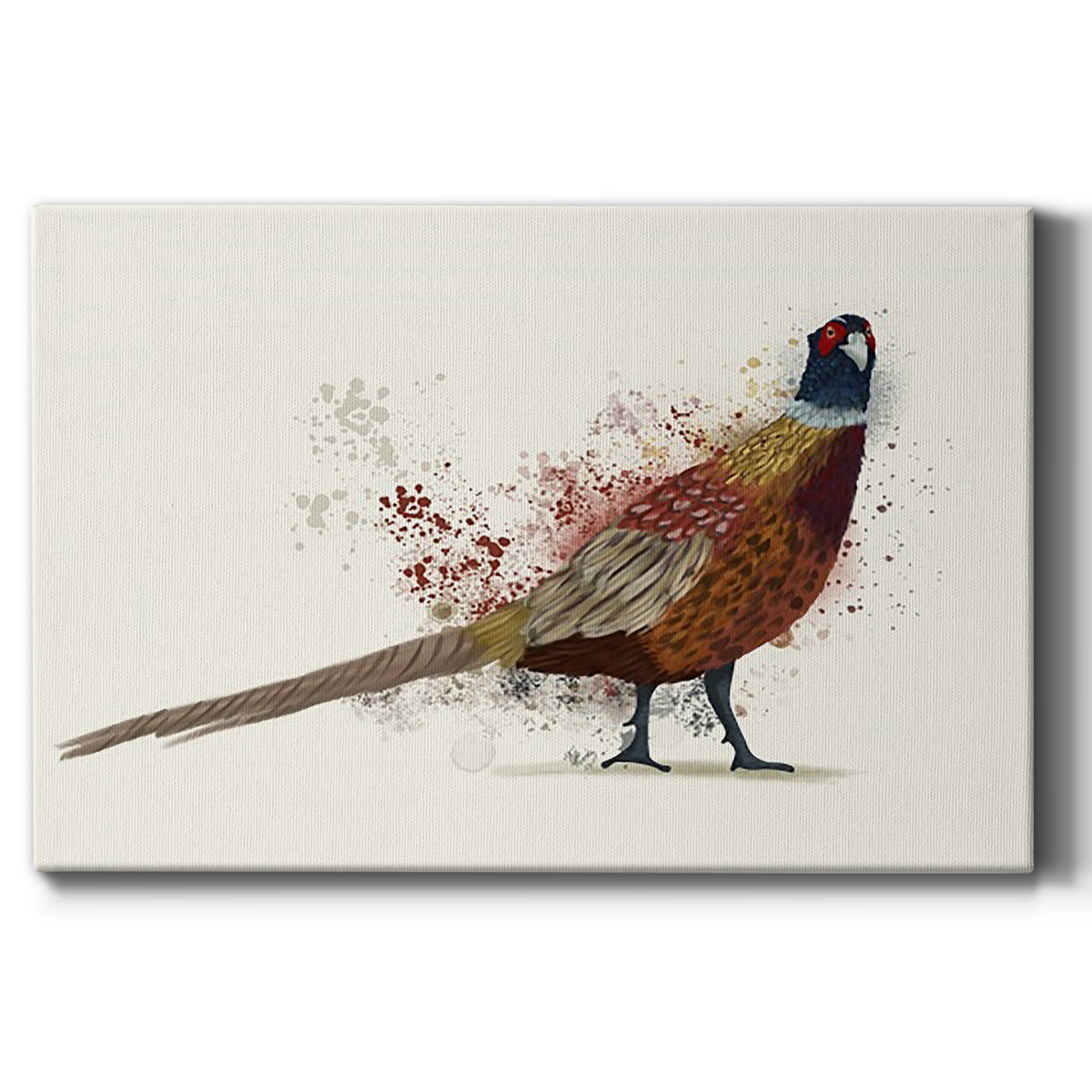 Pheasant Splash 2 Premium Gallery Wrapped Canvas - Ready to Hang