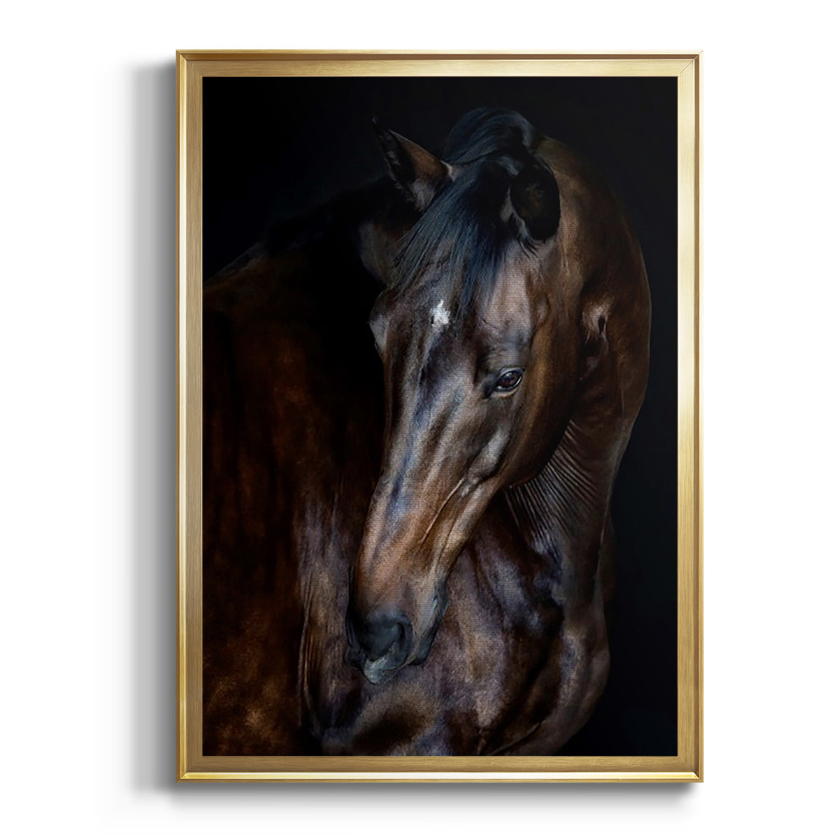 Sunlit Horses I Premium Framed Print - Ready to Hang