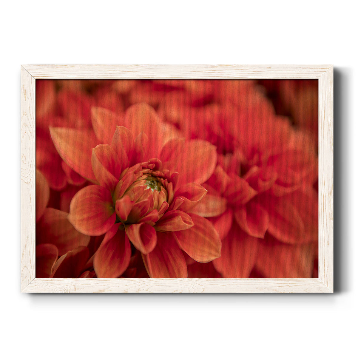 Spring Fire-Premium Framed Canvas - Ready to Hang