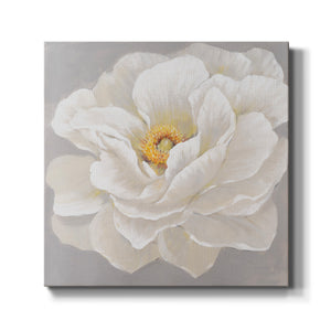 White Peony I-Premium Gallery Wrapped Canvas - Ready to Hang