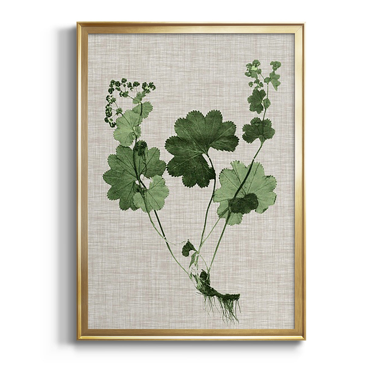 Sepia Botanical Journal I - Modern Framed Canvas Print