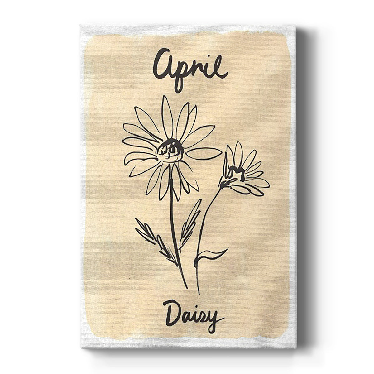 Birth Month IV - Canvas Art Print