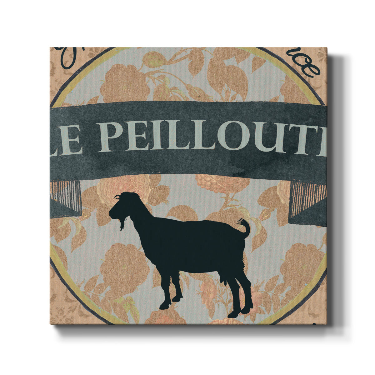 Shell Montage IV - Canvas Art Print