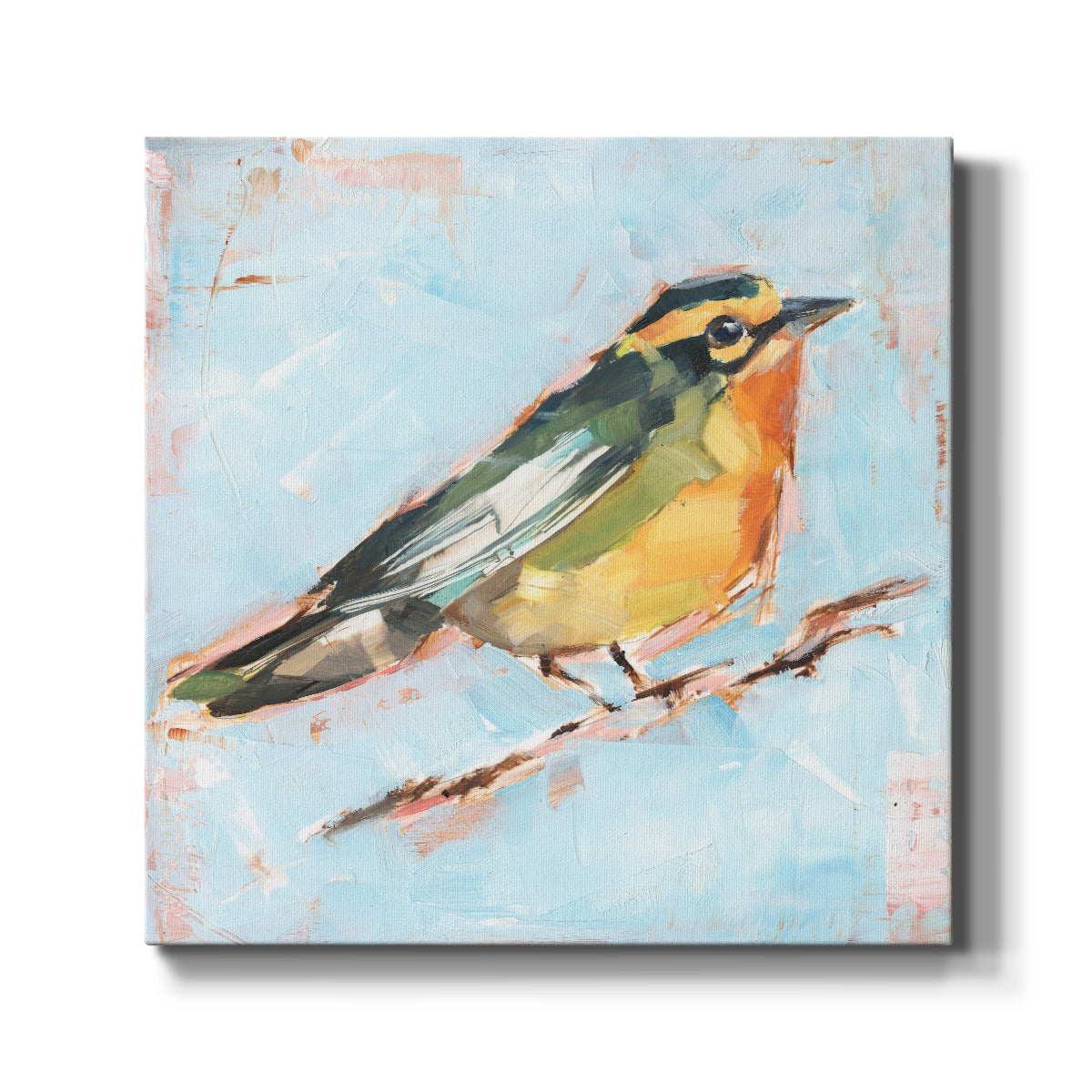 Bird Variety IV-Premium Gallery Wrapped Canvas - Ready to Hang