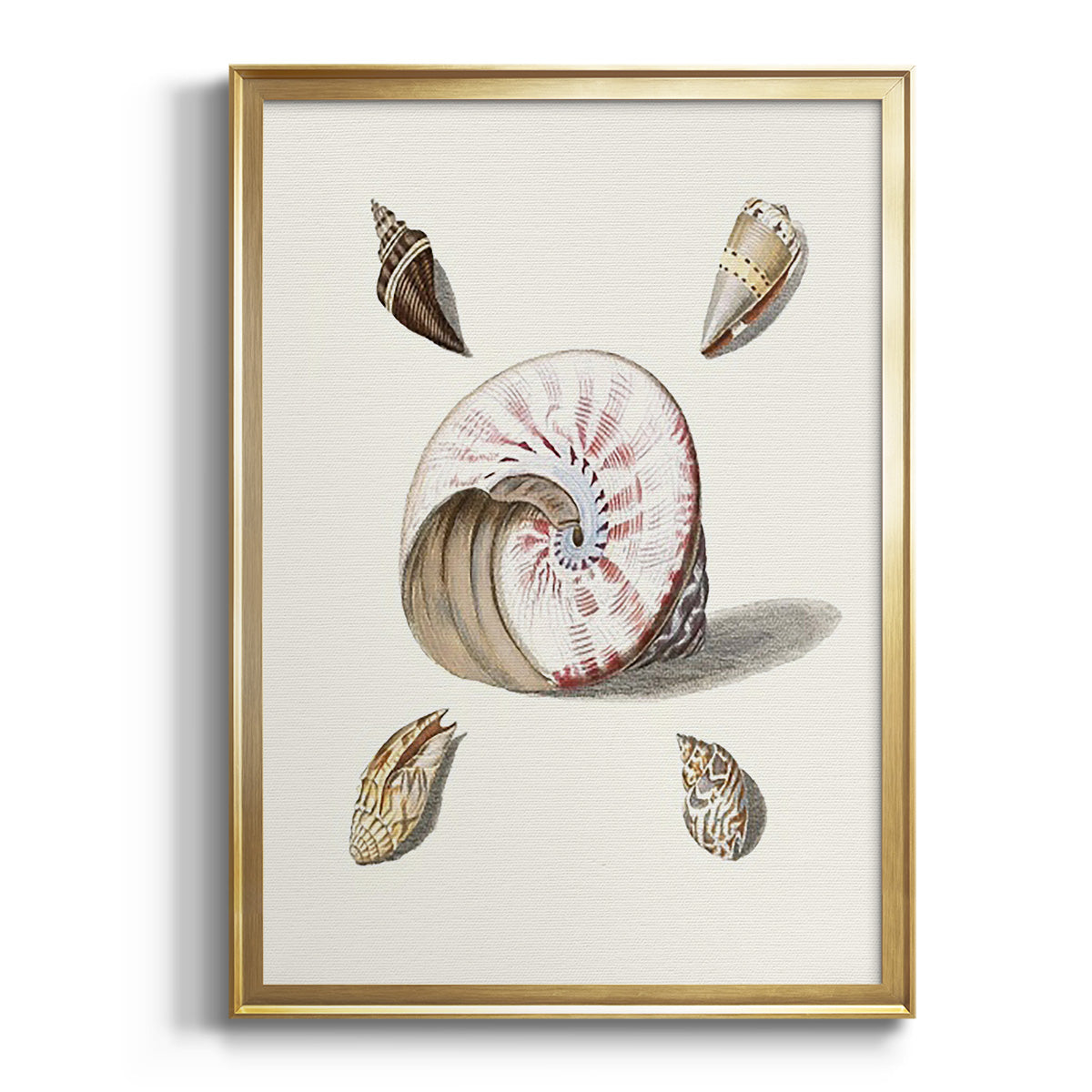 Sepia Botanical Journal I - Modern Framed Canvas Print