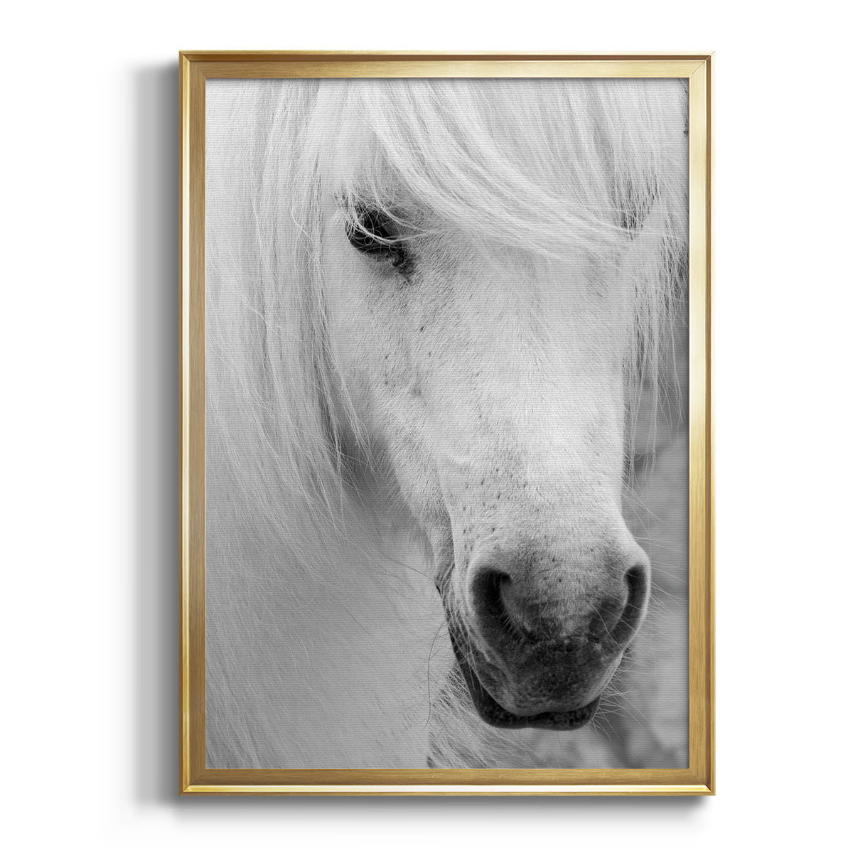 Island Pony I Premium Framed Print - Ready to Hang