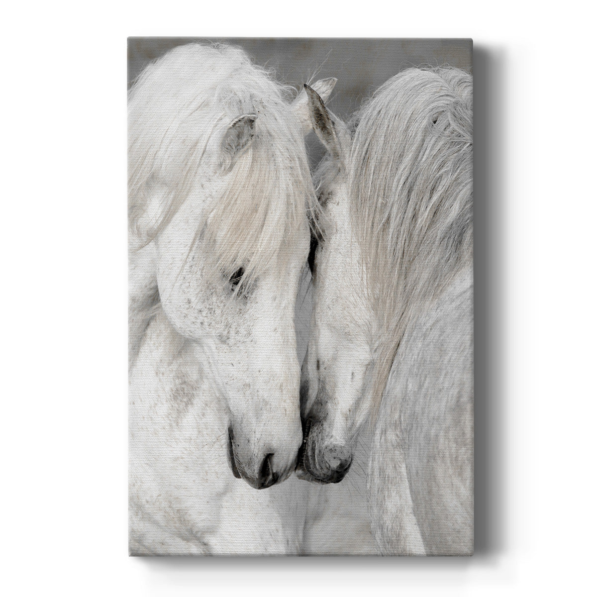 Affection II Premium Gallery Wrapped Canvas - Ready to Hang