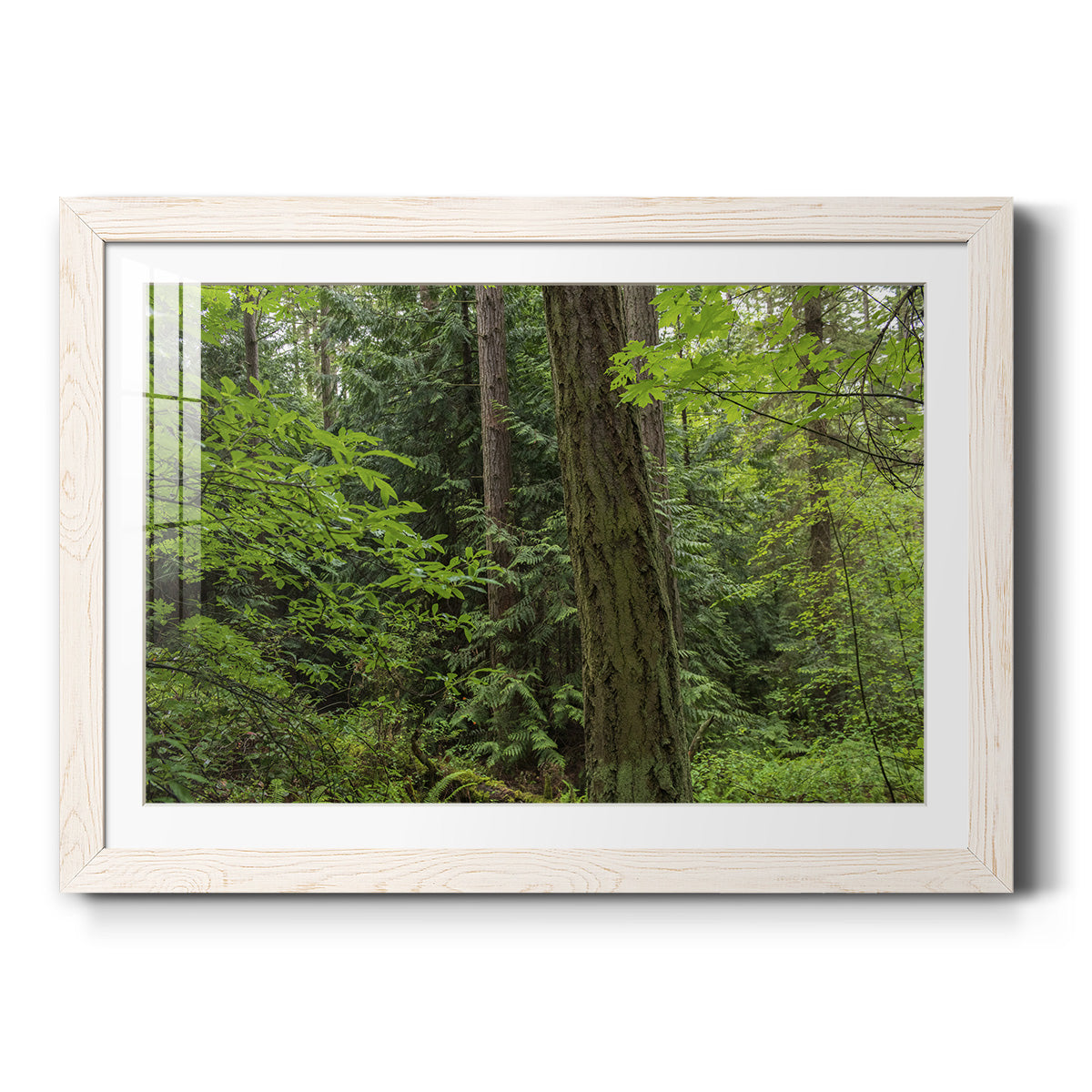 Celebrate-Premium Framed Print - Ready to Hang