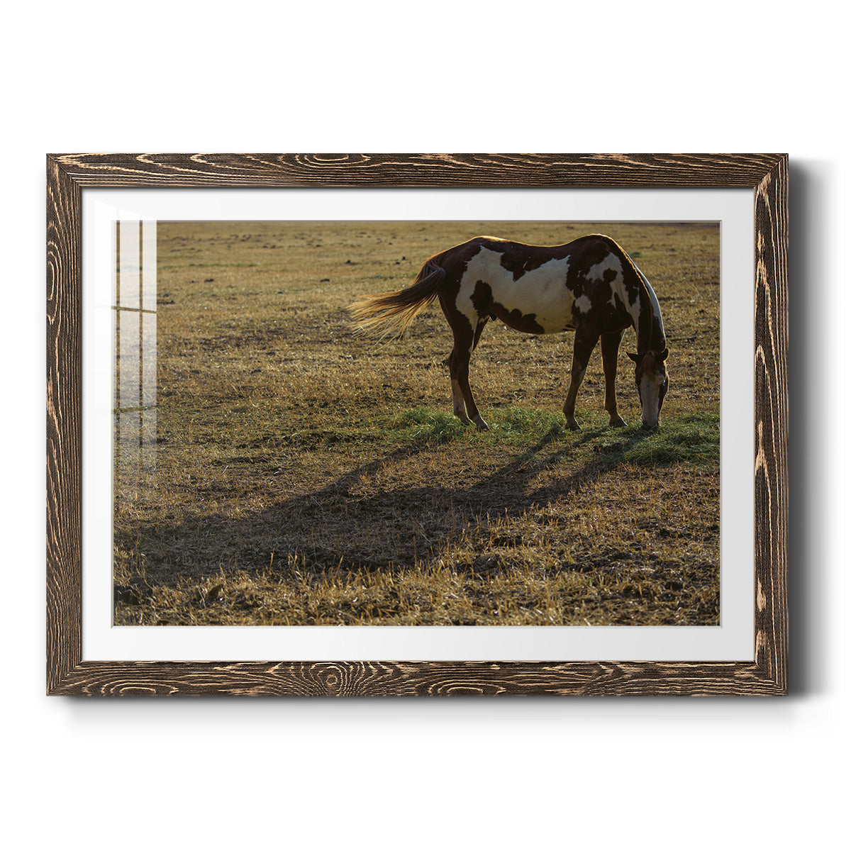 Long Shadow-Premium Framed Print - Ready to Hang