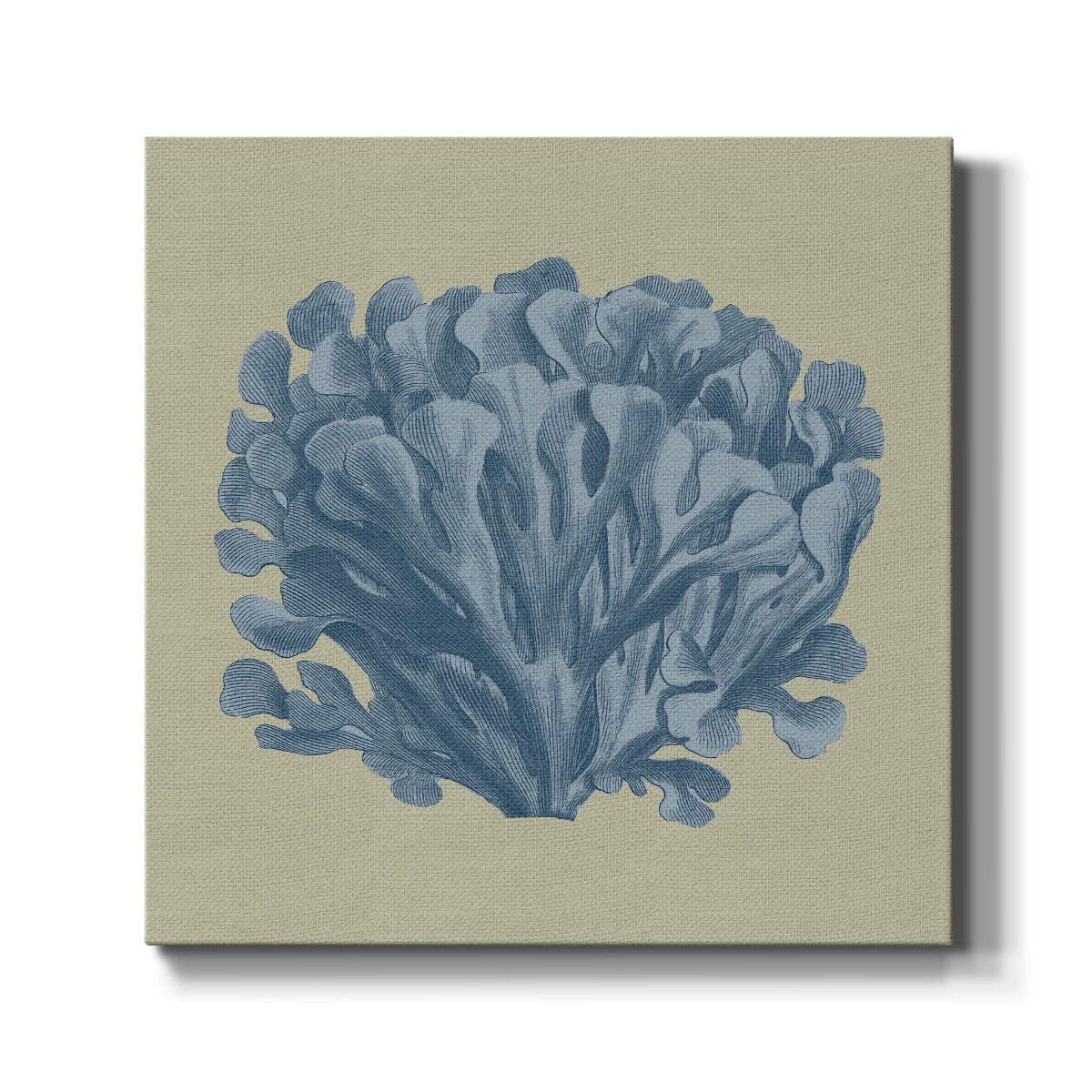 Chambray Coral III - Canvas Art Print