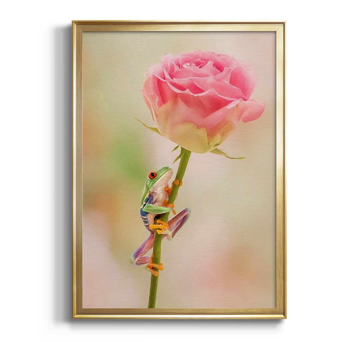 Hanging On II Premium Framed Print - Ready to Hang