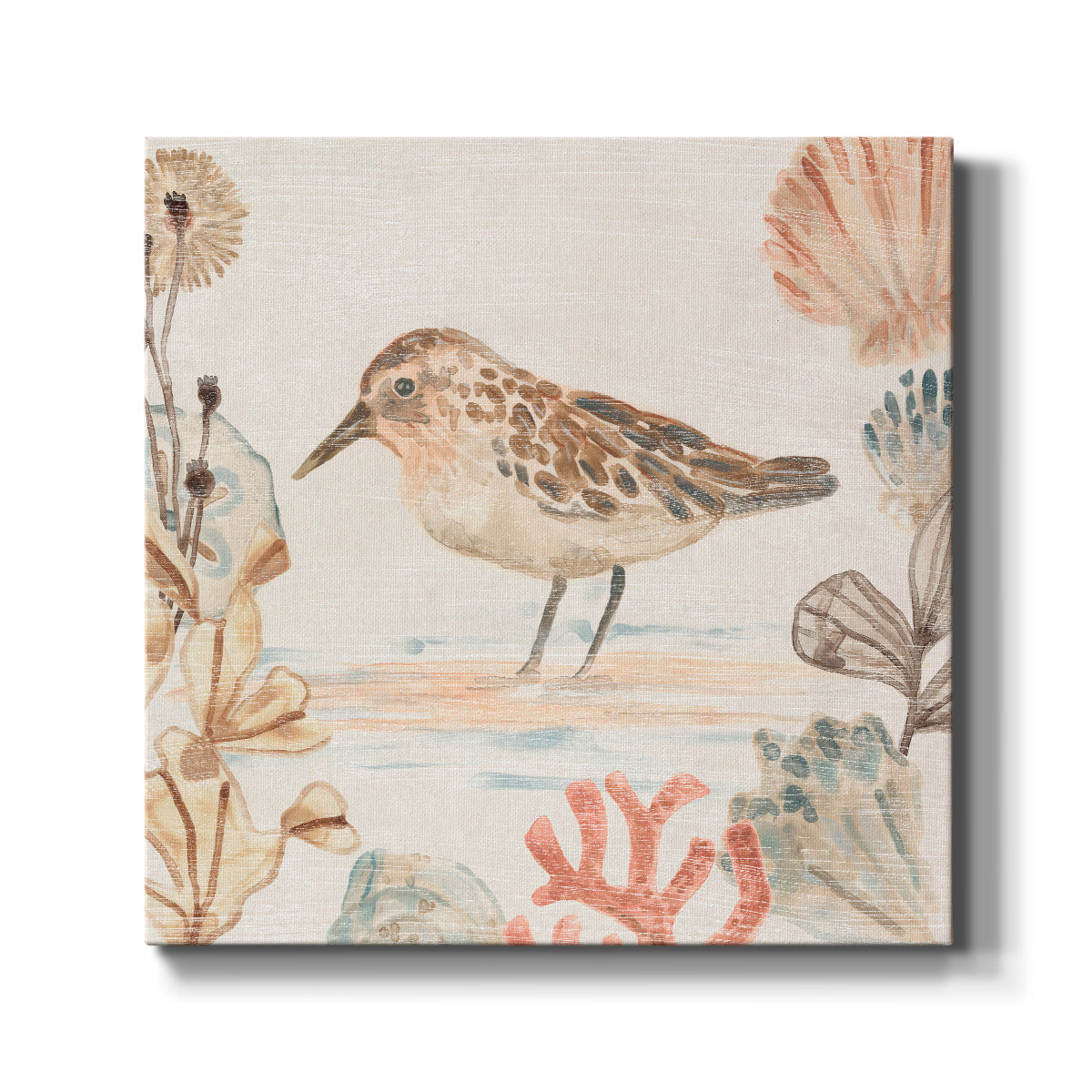 Shell Pipers IV - Canvas Art Print