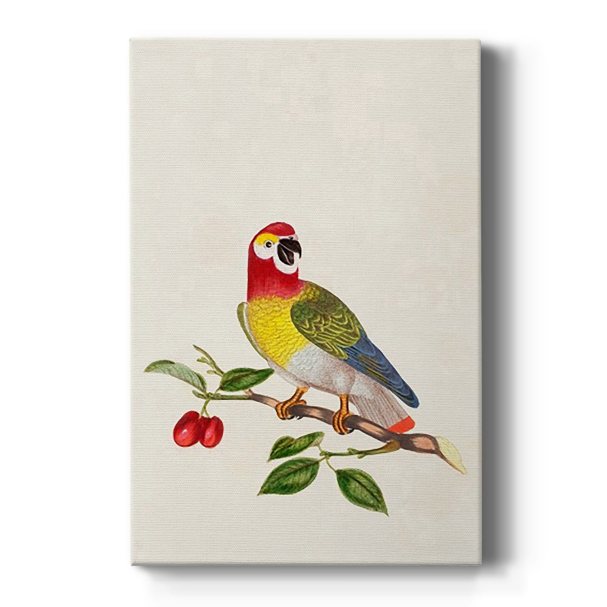 Bird in Habitat VI - Canvas Art Print