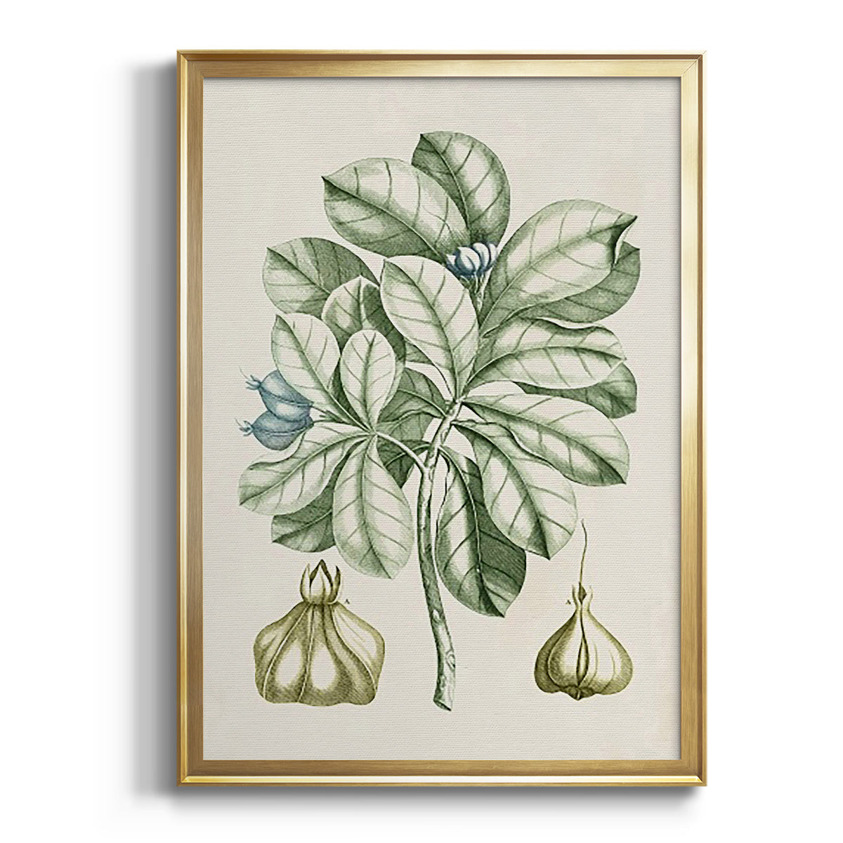 Sepia Botanical Journal I - Modern Framed Canvas Print