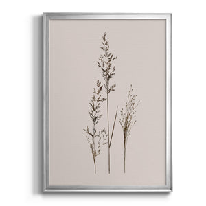 Delicate Stems I Premium Framed Print - Ready to Hang