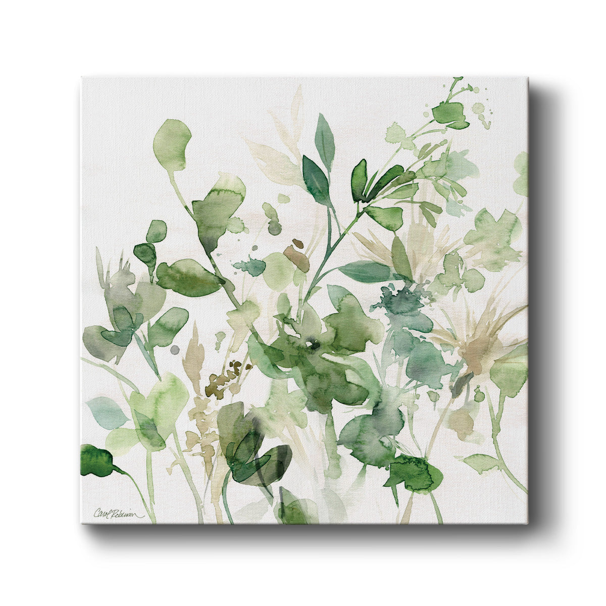 Sage Garden I - Canvas Art Print