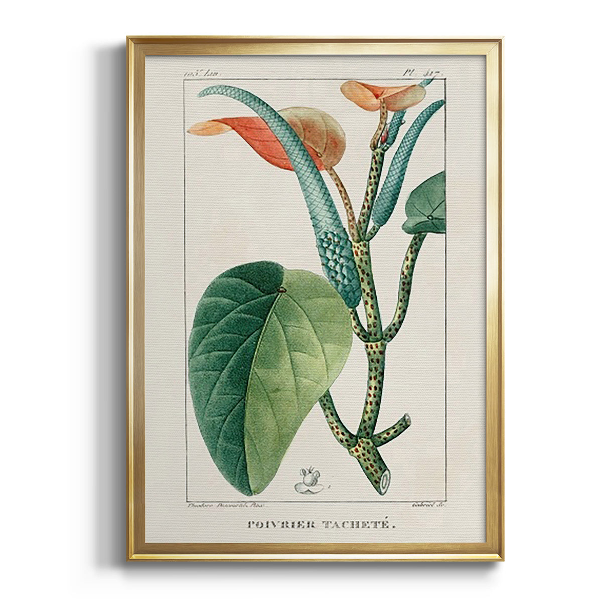 Sepia Botanical Journal I - Modern Framed Canvas Print