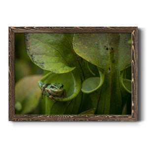 Arboreal Refuge-Premium Framed Canvas - Ready to Hang