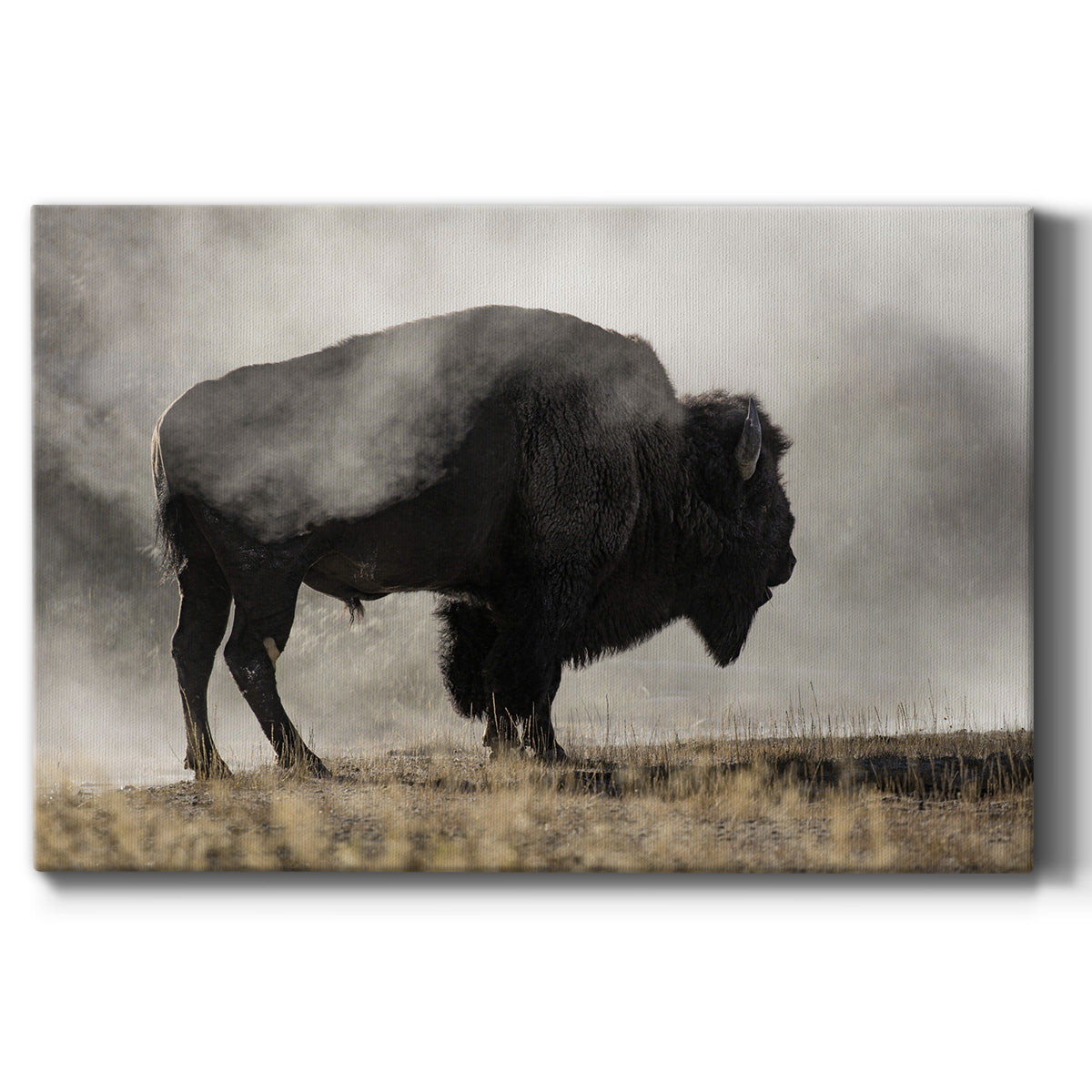 Geyser Basin Premium Gallery Wrapped Canvas - Ready to Hang