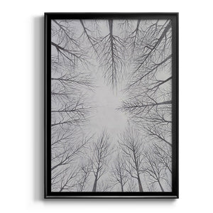 Deciduous Canopy I Premium Framed Print - Ready to Hang