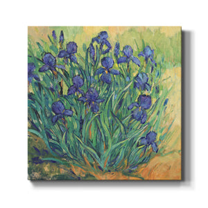 Irises in Bloom II-Premium Gallery Wrapped Canvas - Ready to Hang