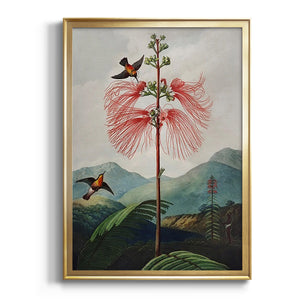 Temple of Flora VIII Premium Framed Print - Ready to Hang