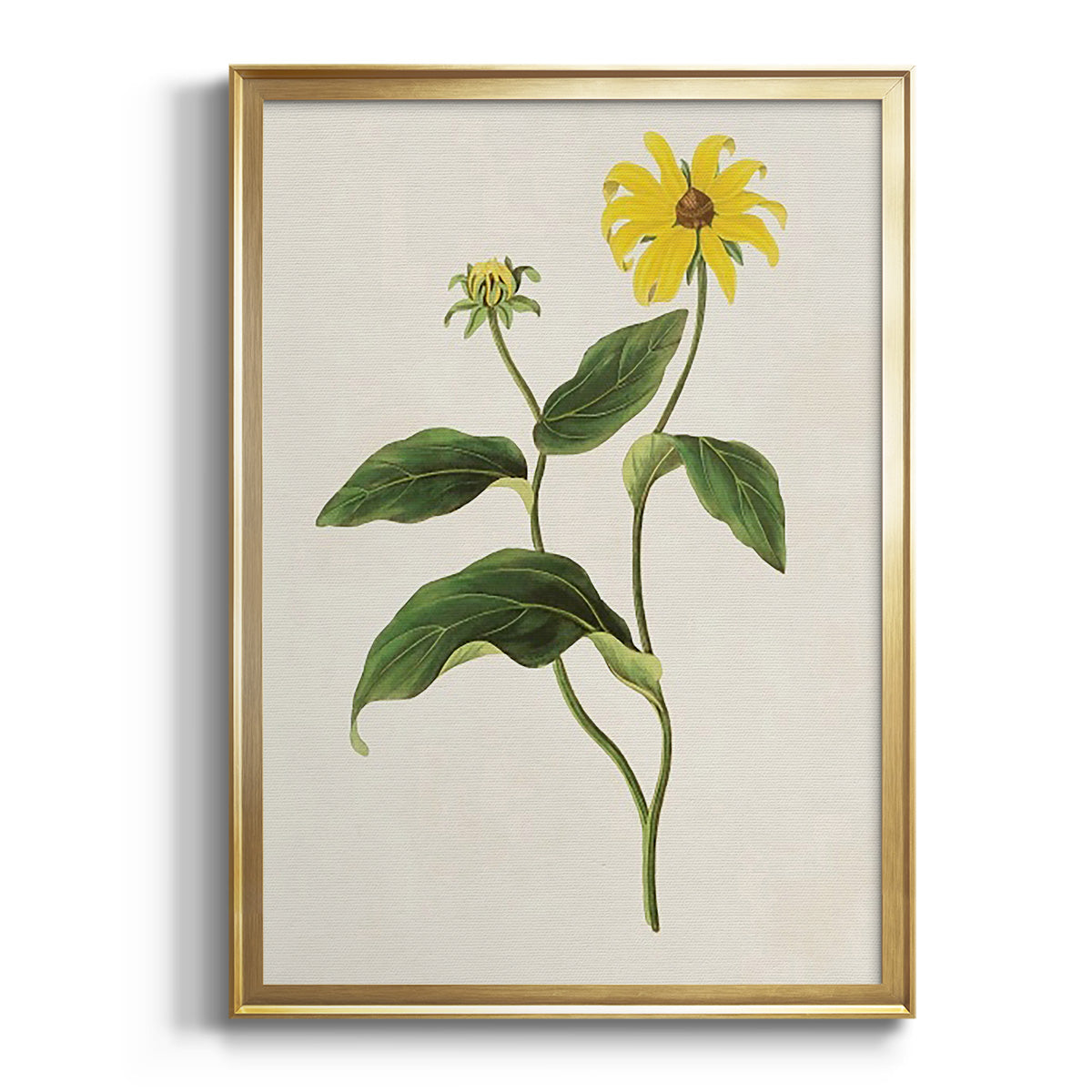 Sepia Botanical Journal I - Modern Framed Canvas Print