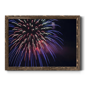 Sky Flower-Premium Framed Canvas - Ready to Hang