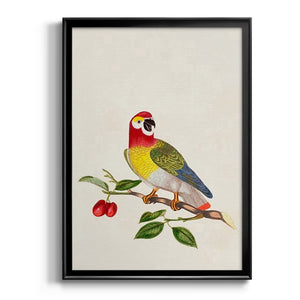 Bird in Habitat VI Premium Framed Print - Ready to Hang