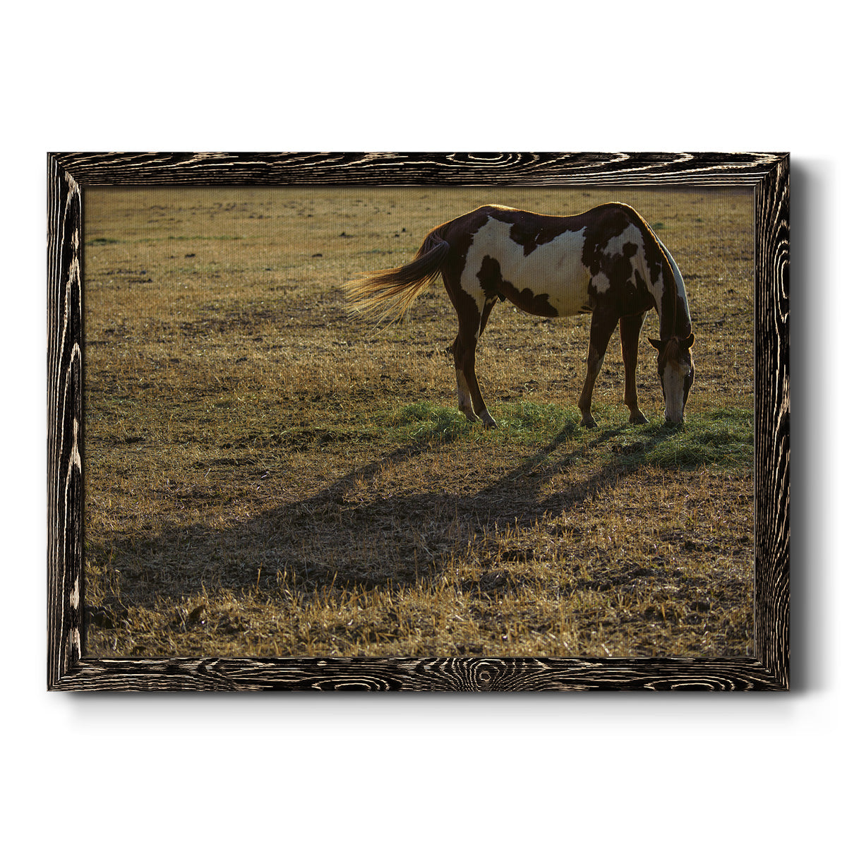 Long Shadow-Premium Framed Canvas - Ready to Hang