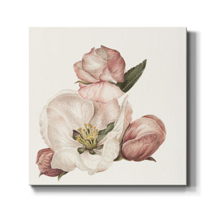 Enlightenment Blossom IV-Premium Gallery Wrapped Canvas - Ready to Hang