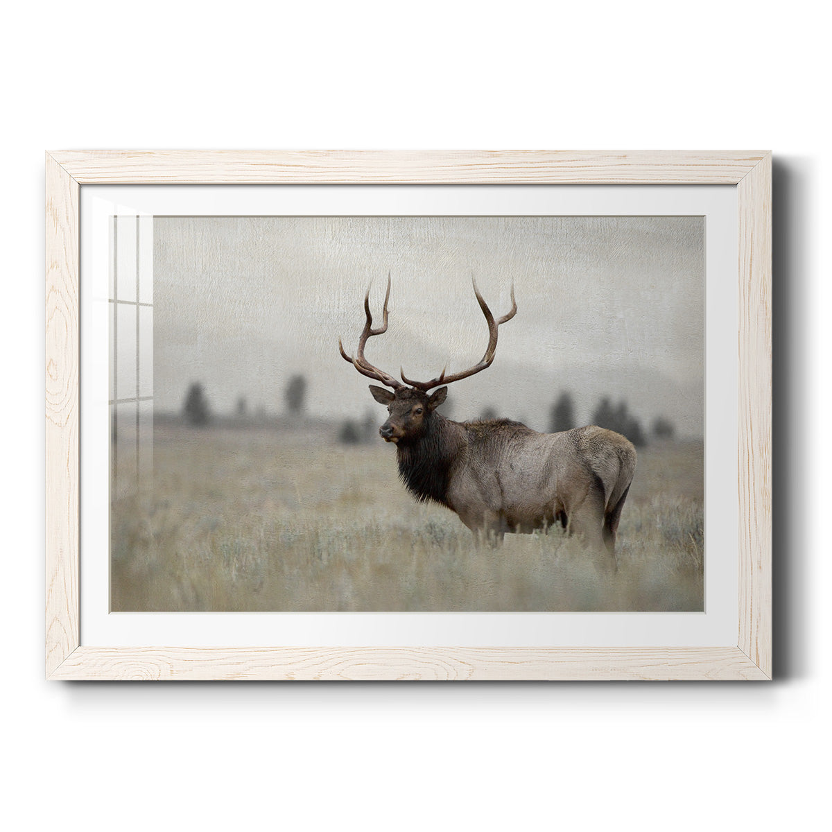 Celebrate-Premium Framed Print - Ready to Hang