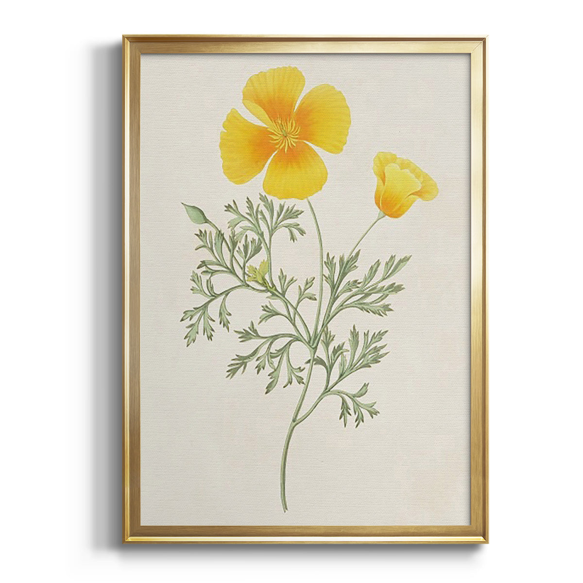 Sepia Botanical Journal I - Modern Framed Canvas Print