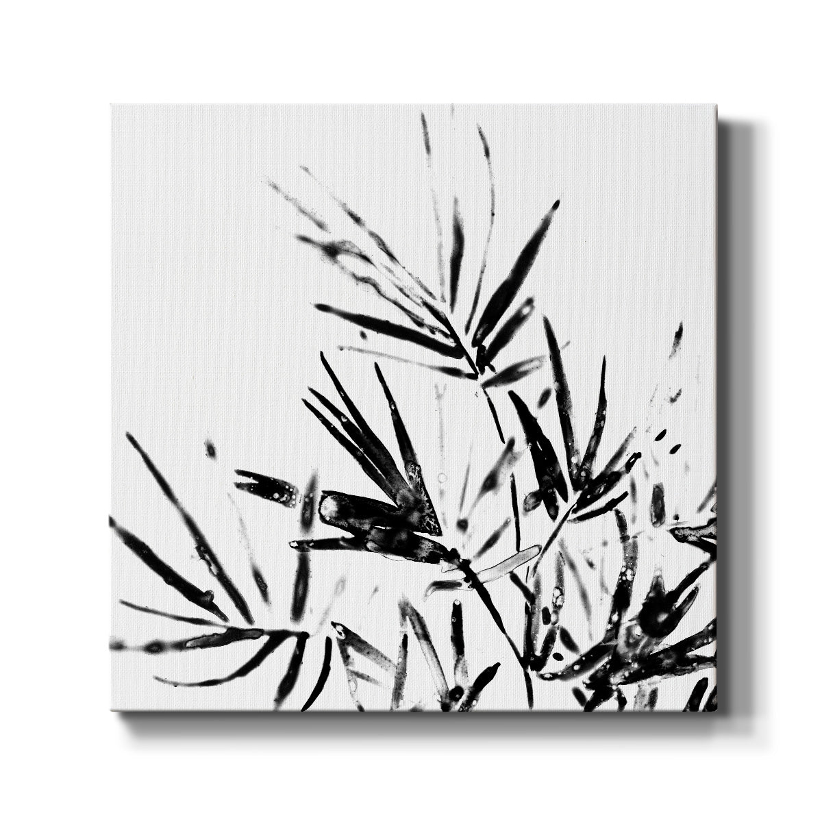 Monochrome Tropic II - Canvas Art Print