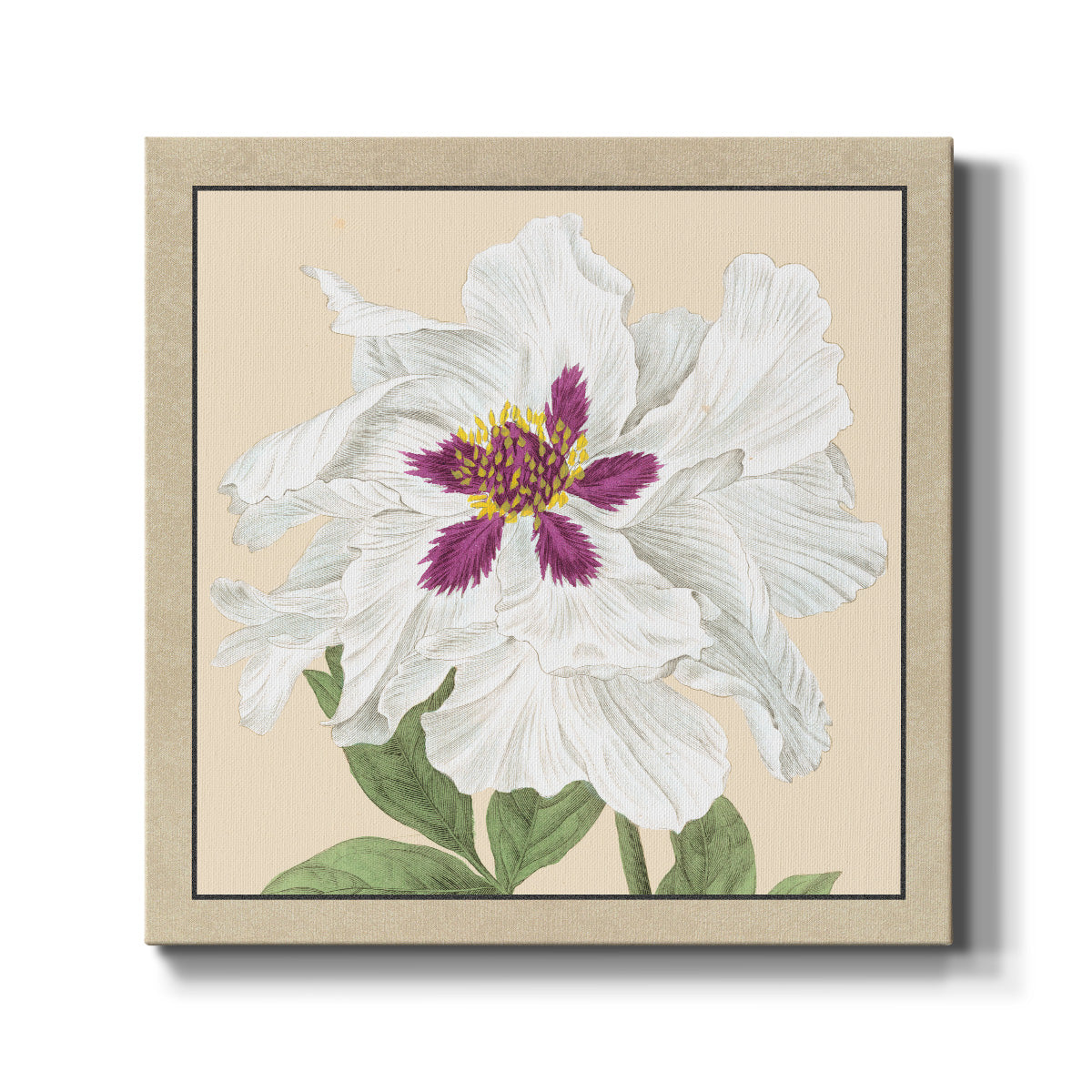 Peony Collection IV-Premium Gallery Wrapped Canvas - Ready to Hang